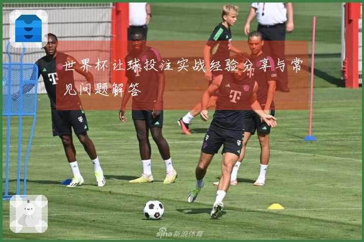 世界杯让球投注实战经验分享与常见问题解答