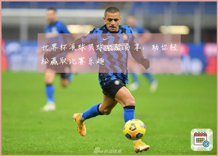 世界杯滚球买球经验分享，助你轻松赢取比赛乐趣