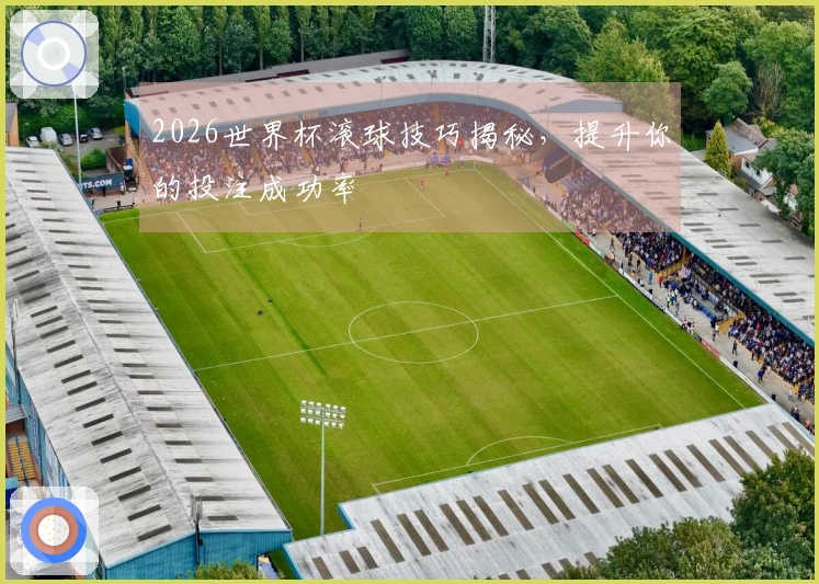 2026世界杯滚球技巧揭秘，提升你的投注成功率