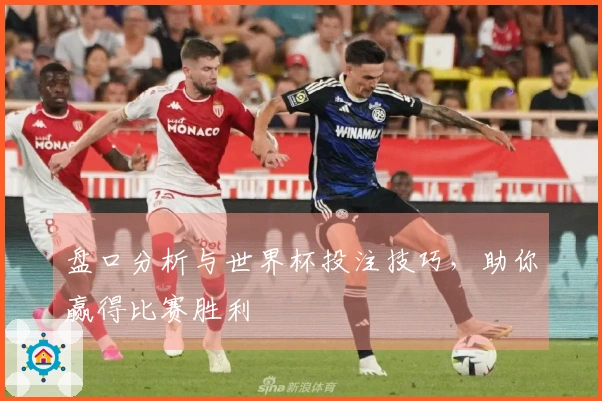 盘口分析与世界杯投注技巧，助你赢得比赛胜利