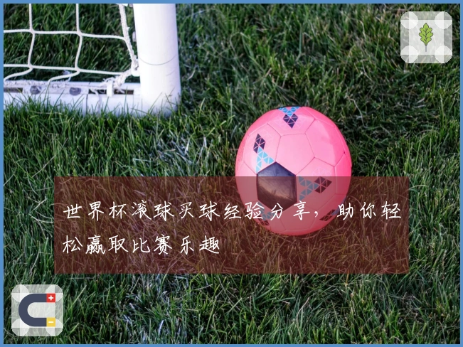 世界杯滚球买球经验分享，助你轻松赢取比赛乐趣