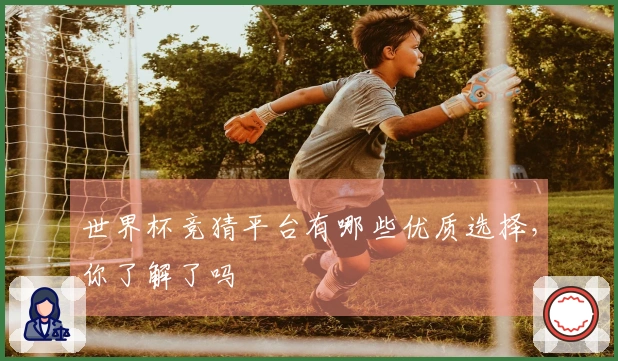 世界杯竞猜平台有哪些优质选择，你了解了吗