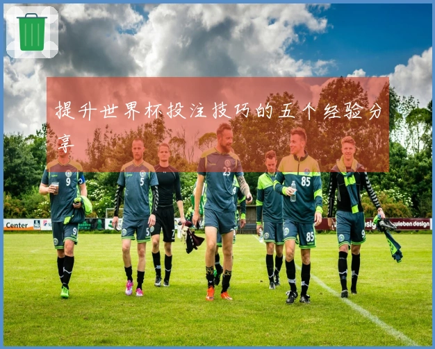 提升世界杯投注技巧的五个经验分享